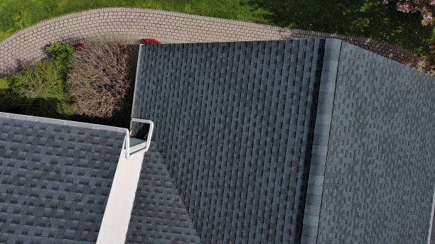 Best Asphalt Shingle Roofing  in Chama, NM