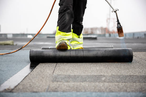 Best Sheet Metal Roofing  in Chama, NM