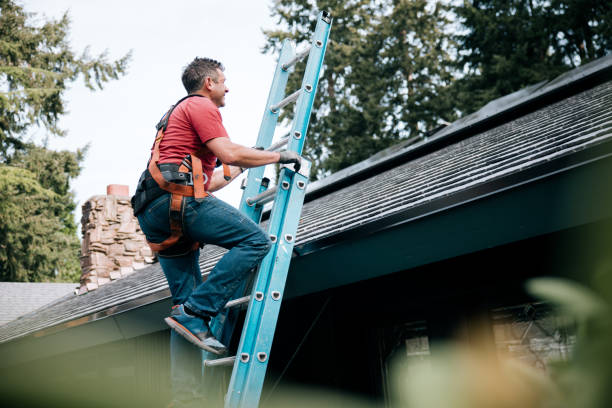 Best Flat Roofing  in Chama, NM