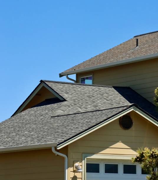Best Flat Roofing  in Chama, NM