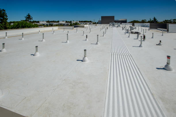 Best Roof Coating Services  in Chama, NM